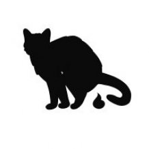 catpooppng